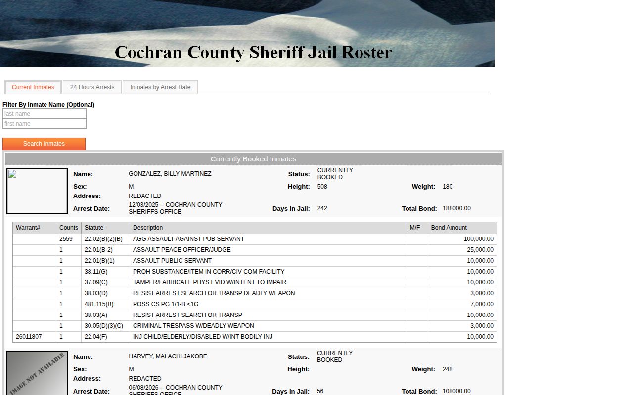 Cochran County Jail current custody and release record layout